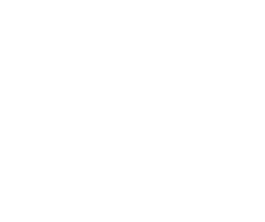 Shubham Tamrakar Logo